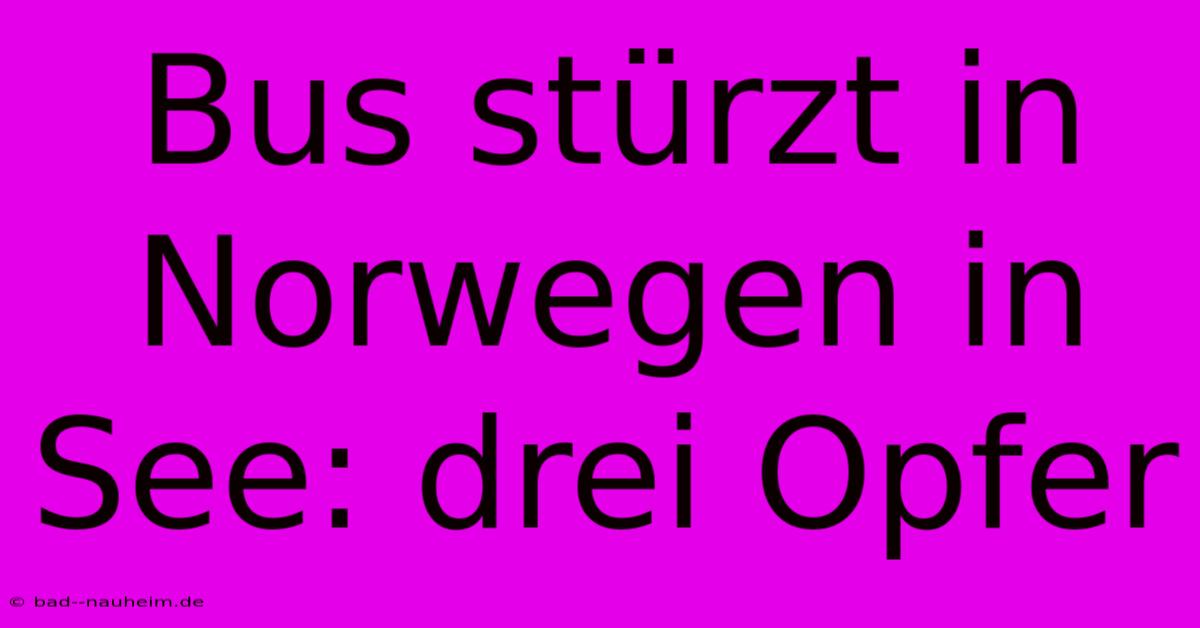 Bus Stürzt In Norwegen In See: Drei Opfer