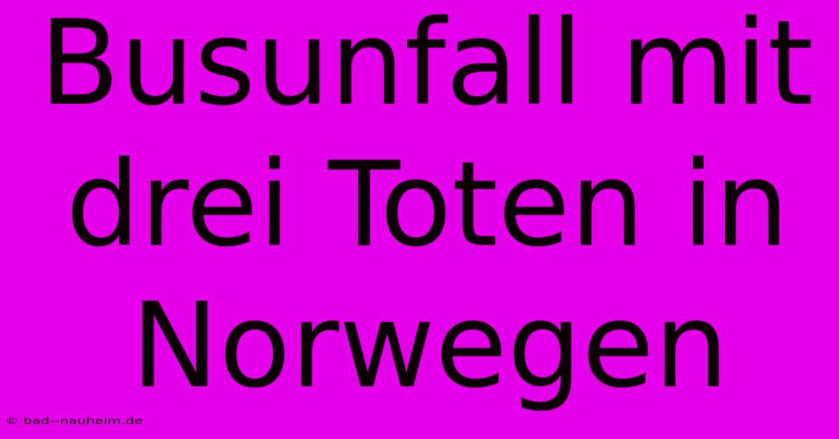 Busunfall Mit Drei Toten In Norwegen