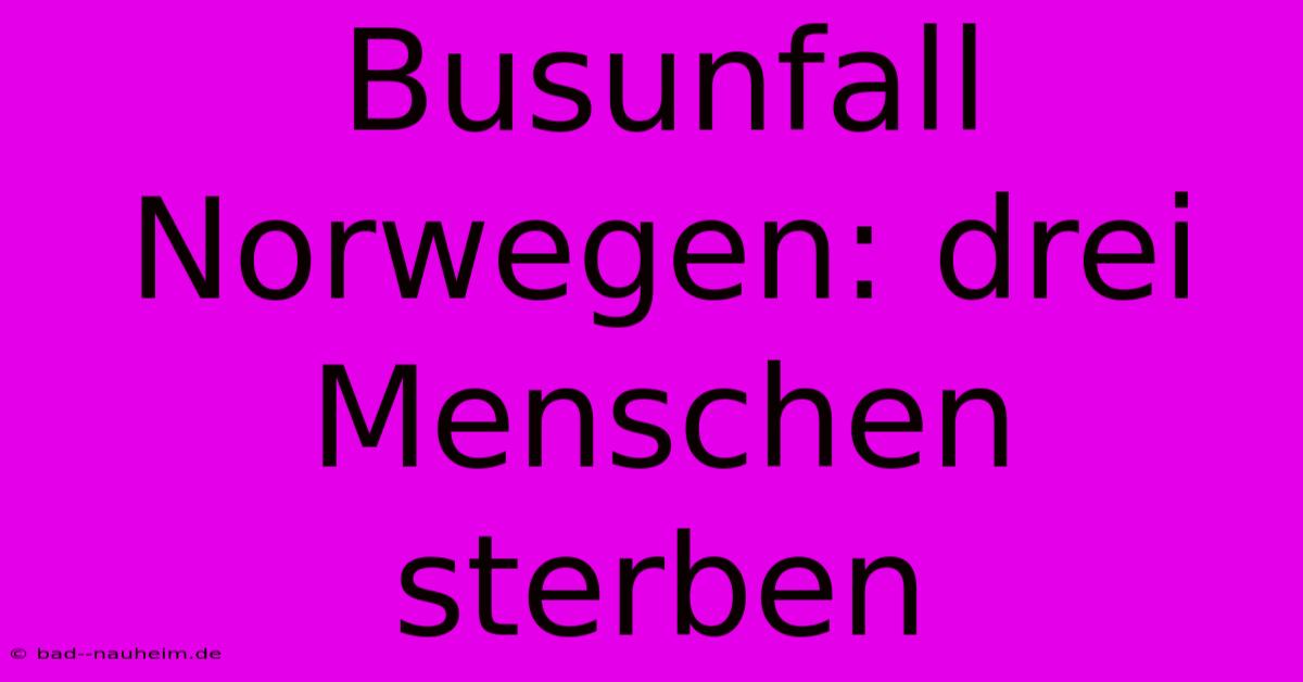 Busunfall Norwegen: Drei Menschen Sterben