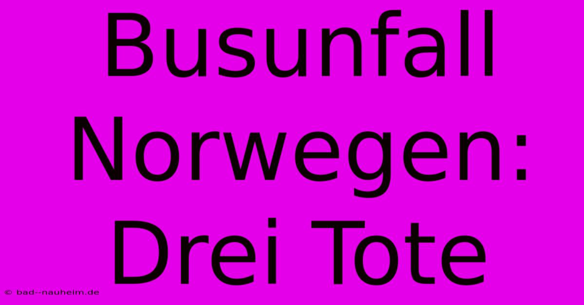 Busunfall Norwegen: Drei Tote