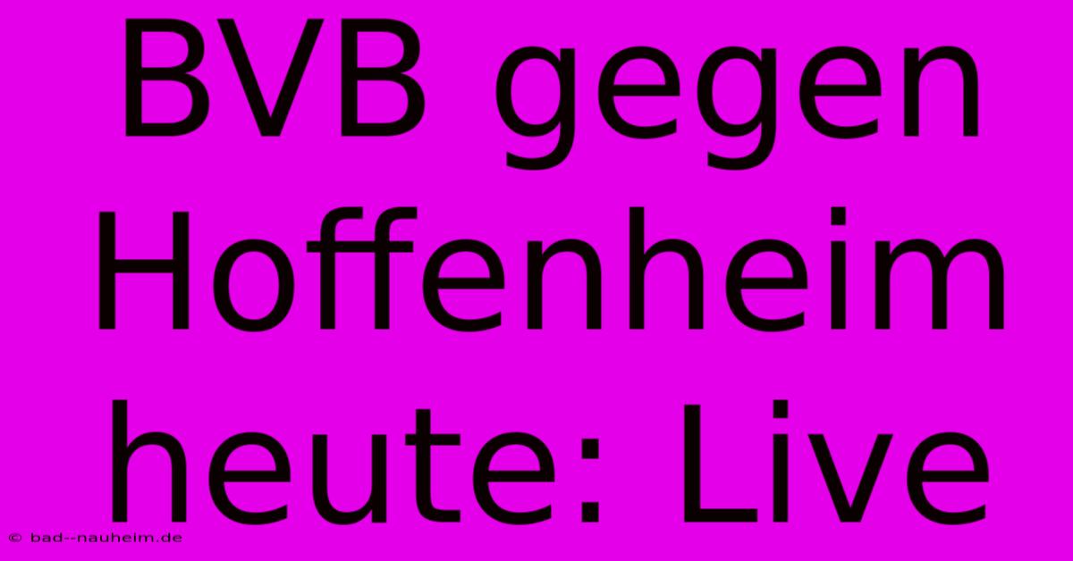 BVB Gegen Hoffenheim Heute: Live