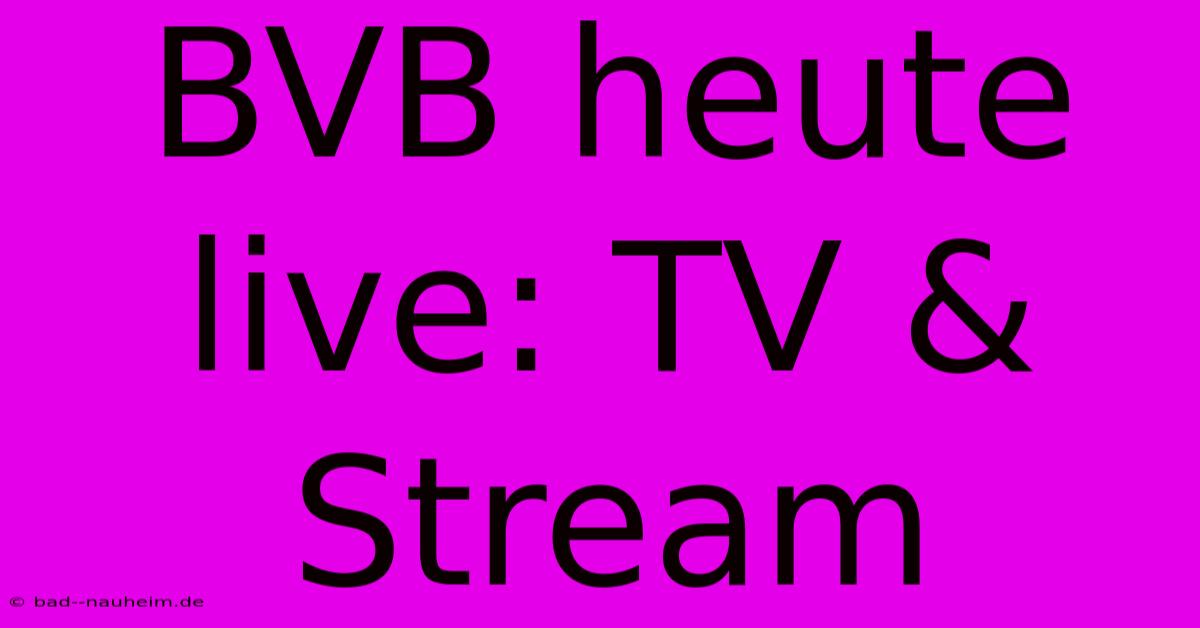 BVB Heute Live: TV & Stream