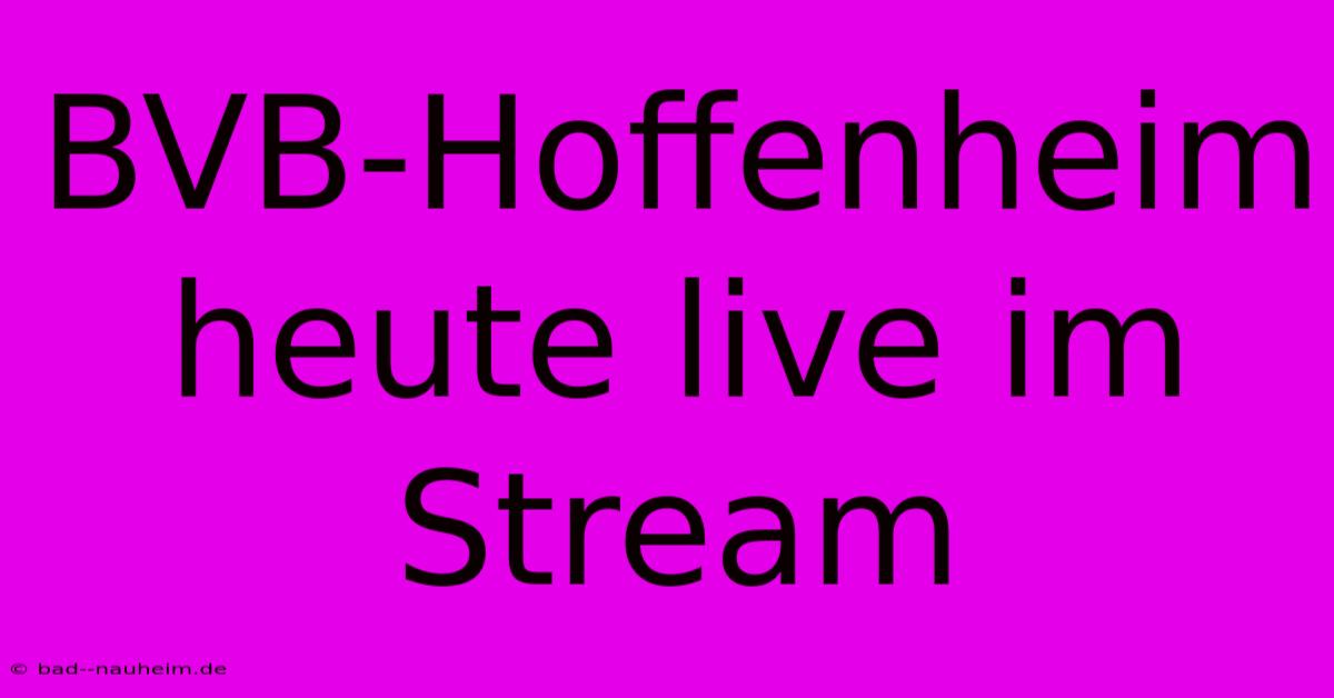 BVB-Hoffenheim Heute Live Im Stream