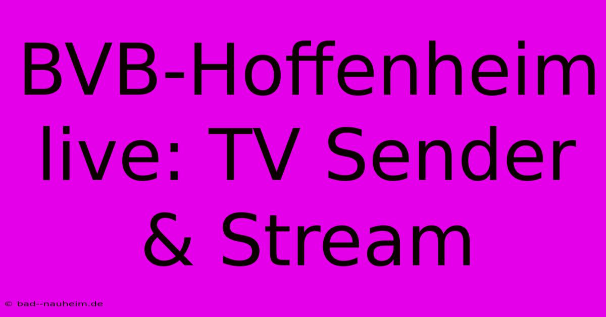 BVB-Hoffenheim Live: TV Sender & Stream