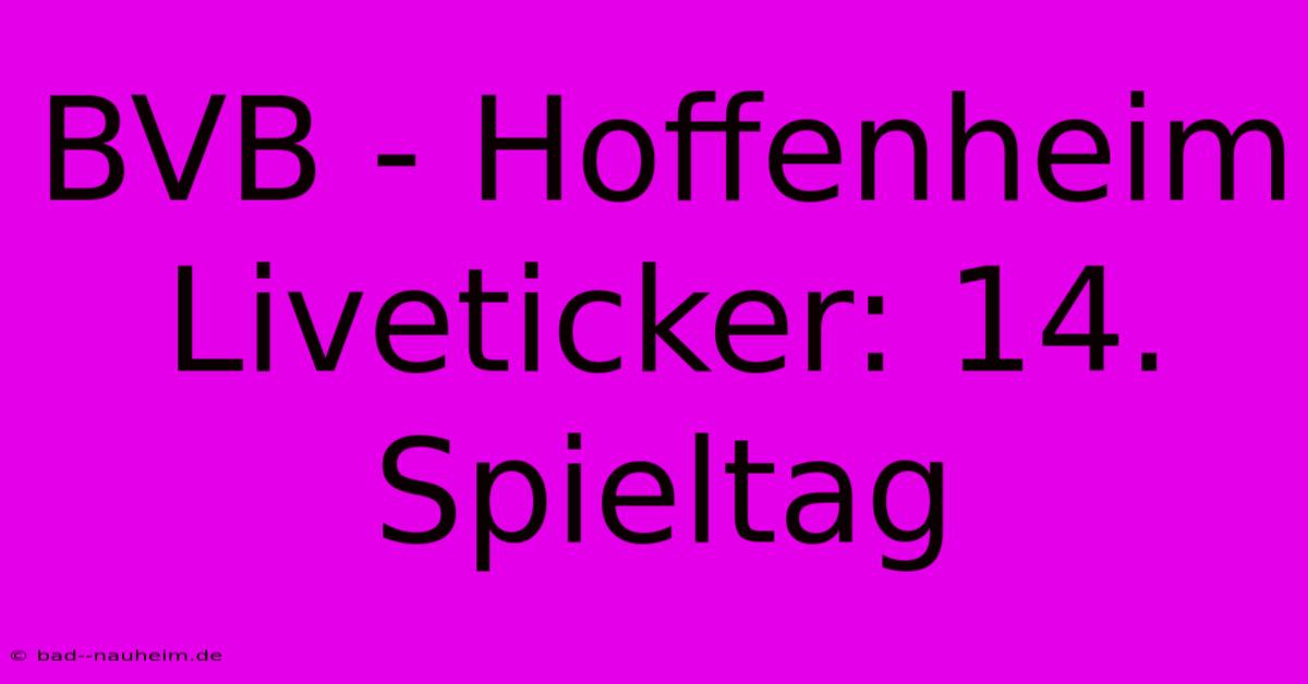 BVB - Hoffenheim Liveticker: 14. Spieltag