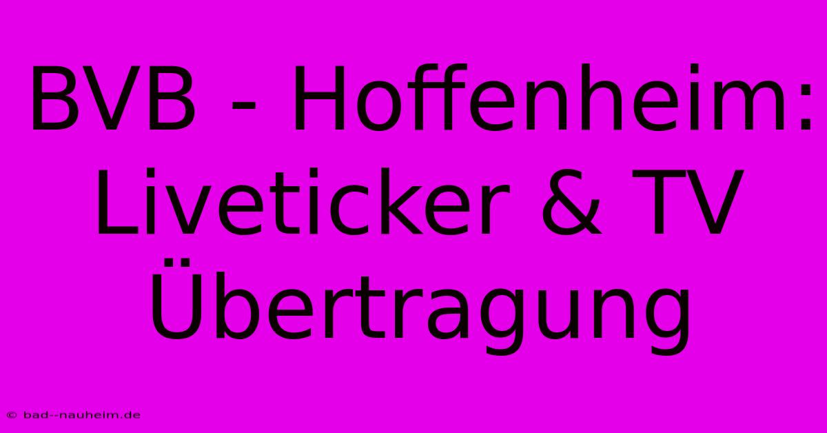 BVB - Hoffenheim: Liveticker & TV Übertragung