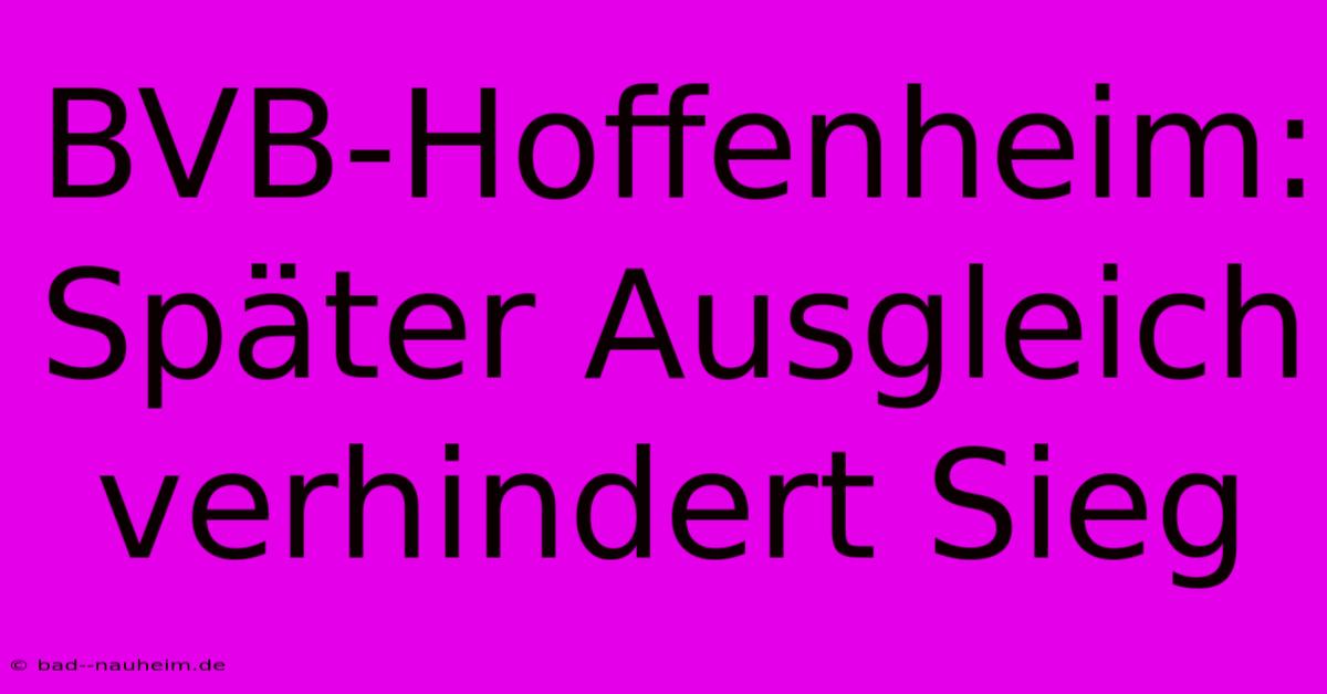 BVB-Hoffenheim: Später Ausgleich Verhindert Sieg