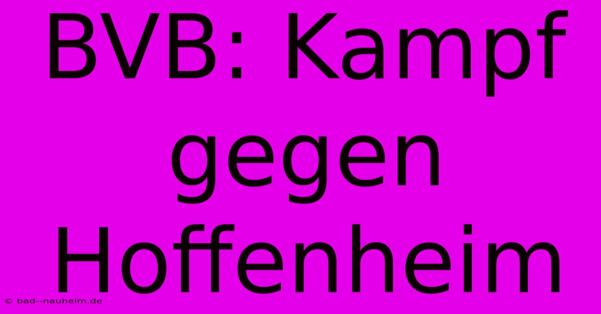 BVB: Kampf Gegen Hoffenheim