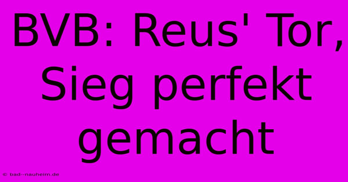 BVB: Reus' Tor, Sieg Perfekt Gemacht