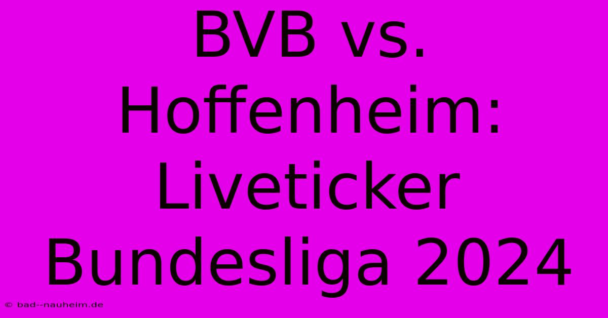 BVB Vs. Hoffenheim: Liveticker Bundesliga 2024