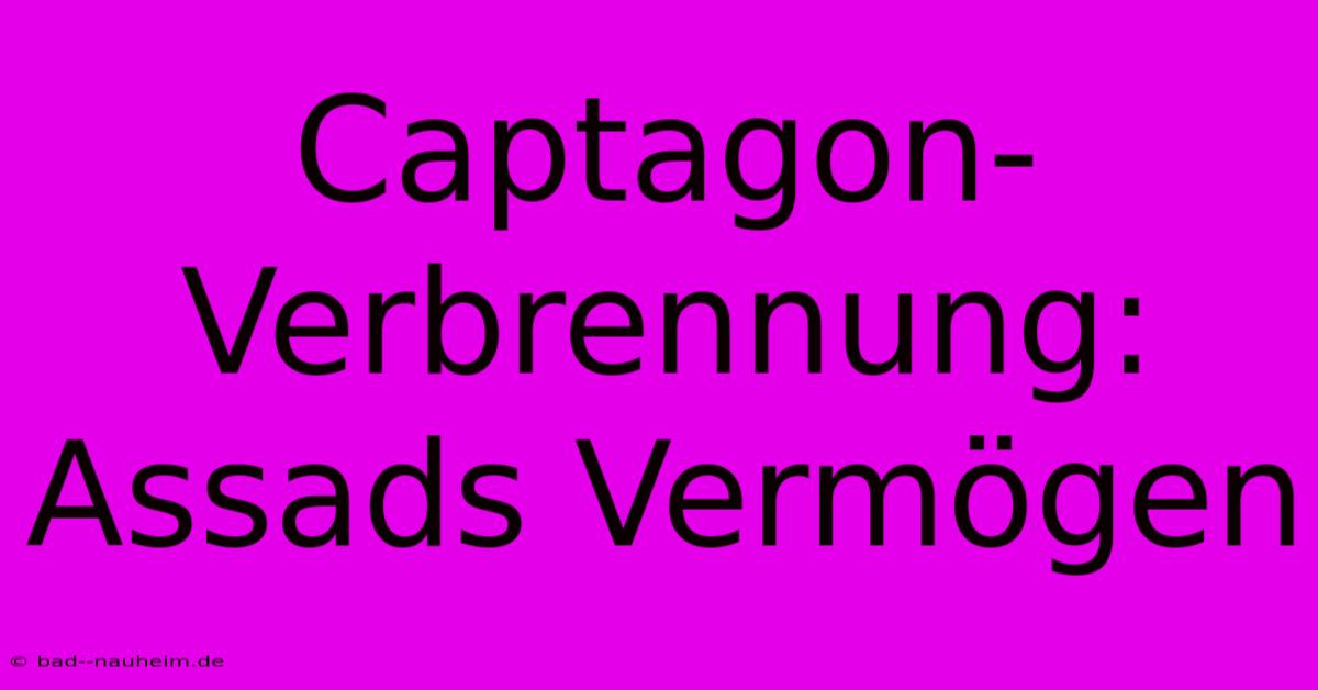 Captagon-Verbrennung: Assads Vermögen