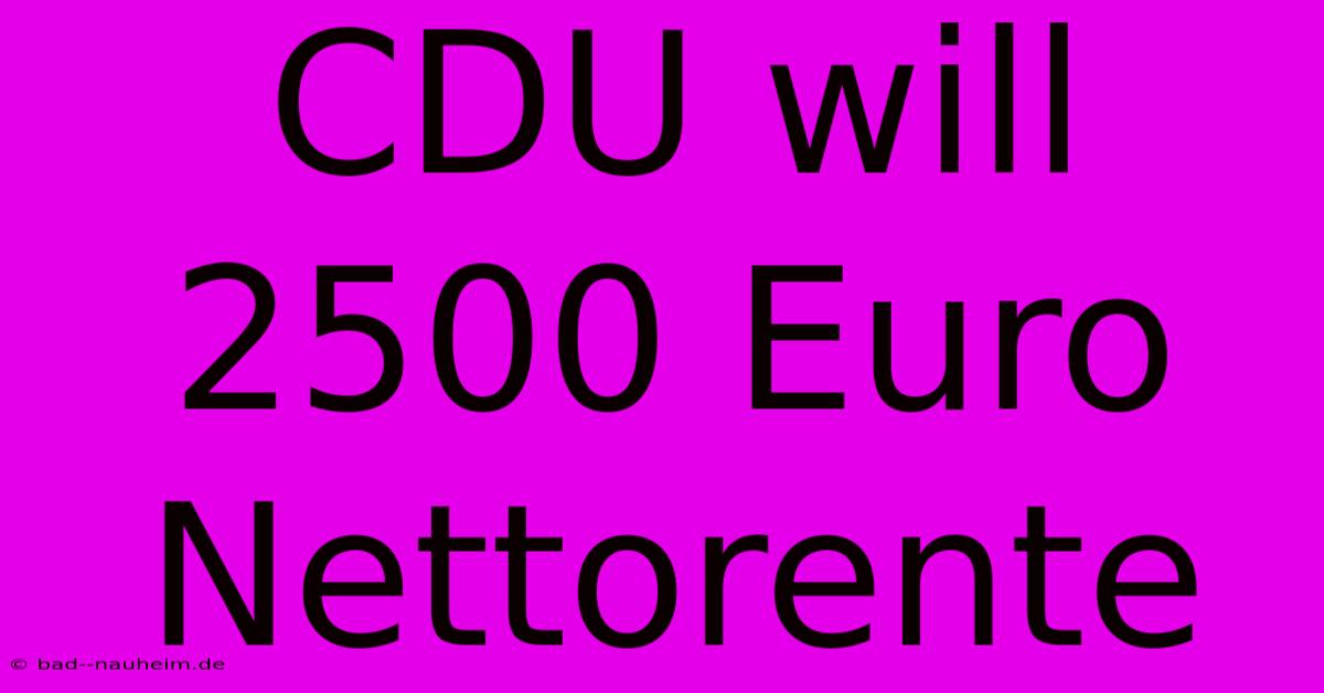 CDU Will 2500 Euro Nettorente