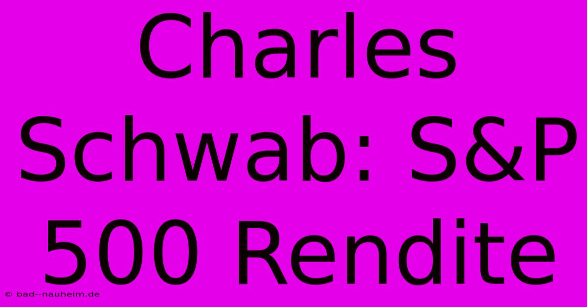 Charles Schwab: S&P 500 Rendite