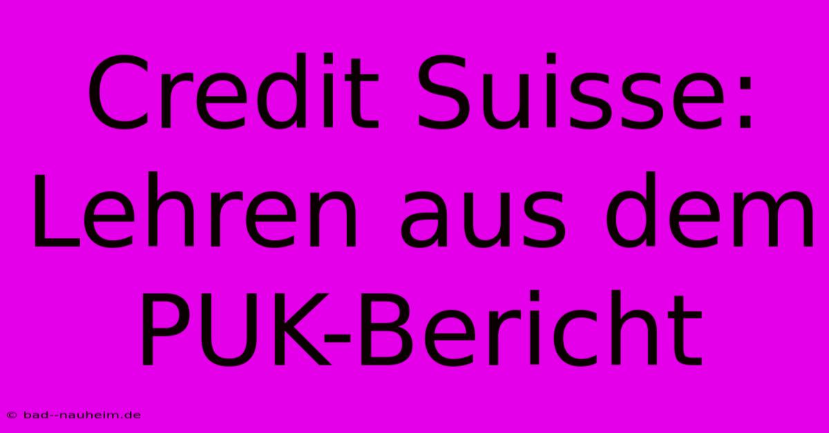 Credit Suisse: Lehren Aus Dem PUK-Bericht