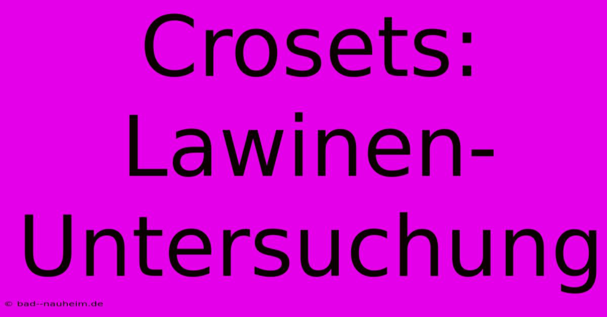 Crosets:  Lawinen-Untersuchung