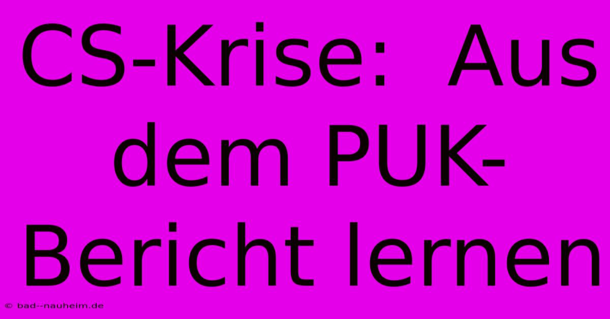 CS-Krise:  Aus Dem PUK-Bericht Lernen