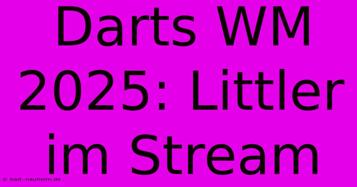 Darts WM 2025: Littler Im Stream