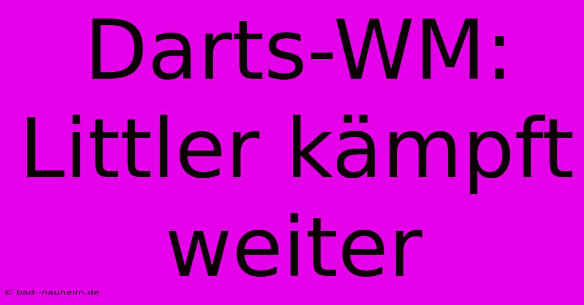 Darts-WM:  Littler Kämpft Weiter