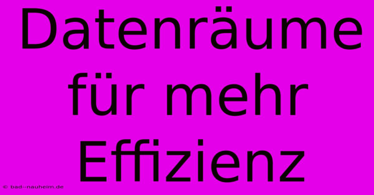 Datenräume Für Mehr Effizienz