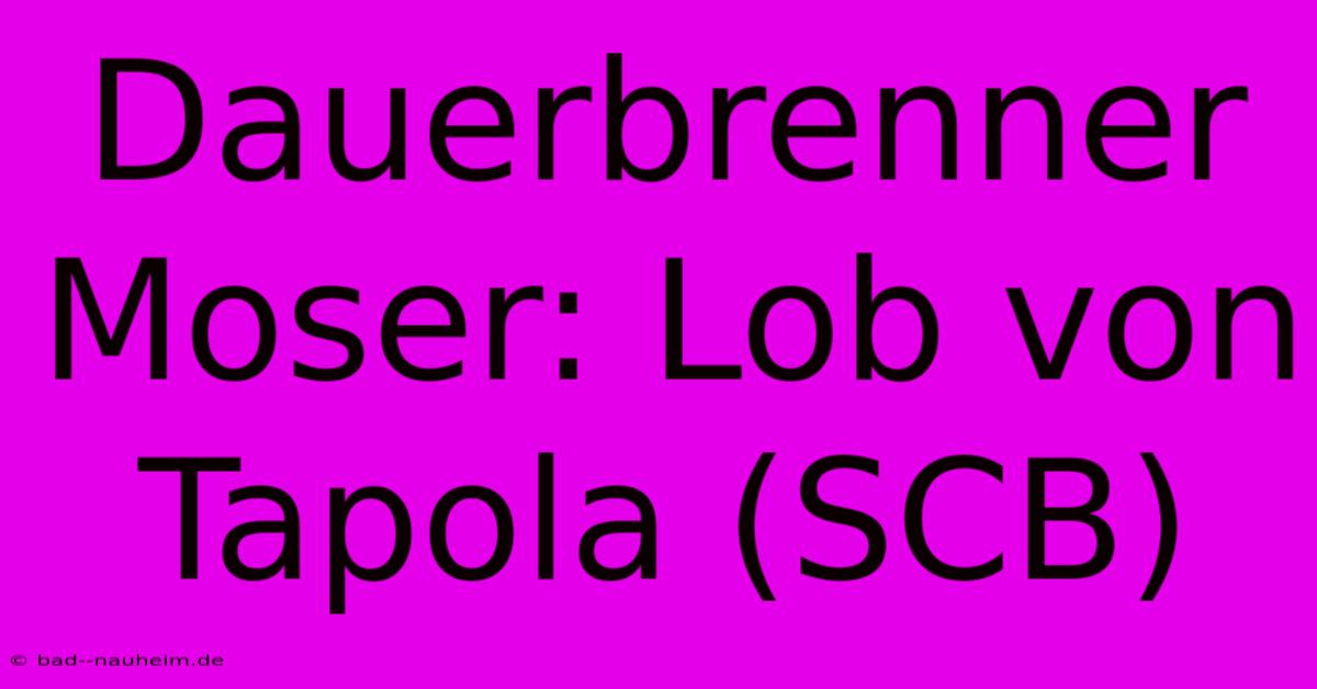 Dauerbrenner Moser: Lob Von Tapola (SCB)