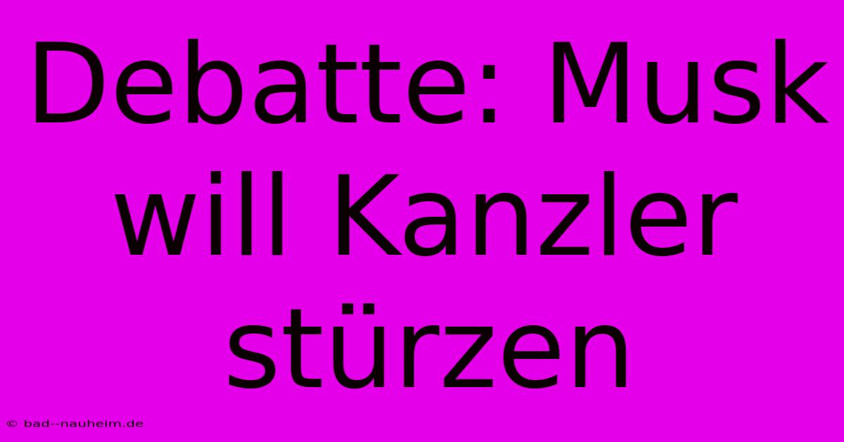 Debatte: Musk Will Kanzler Stürzen