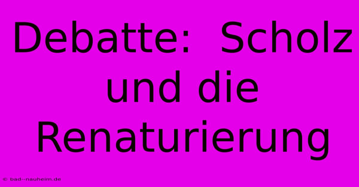 Debatte:  Scholz Und Die Renaturierung