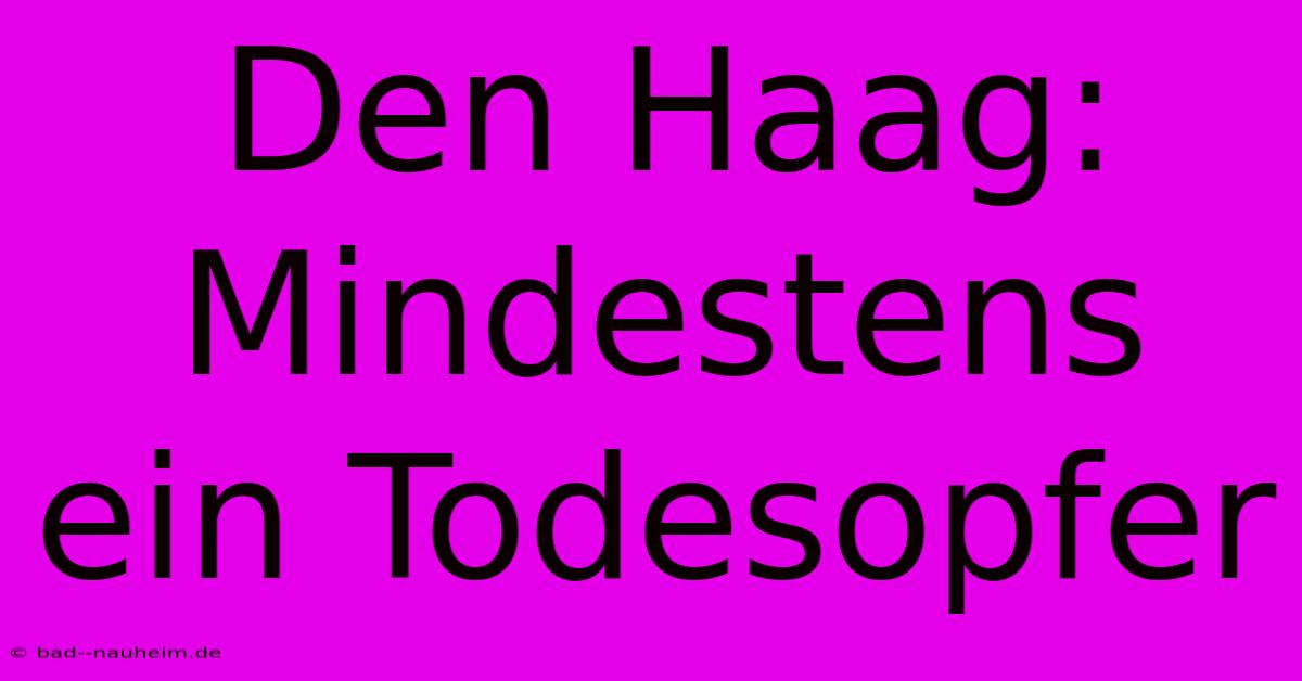 Den Haag: Mindestens Ein Todesopfer