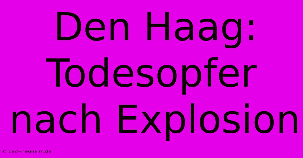 Den Haag: Todesopfer Nach Explosion