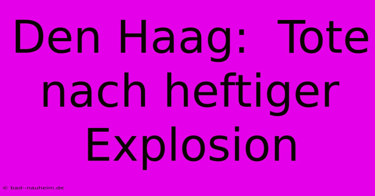 Den Haag:  Tote Nach Heftiger Explosion