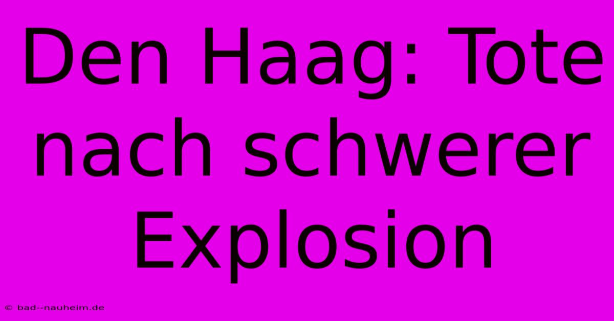 Den Haag: Tote Nach Schwerer Explosion