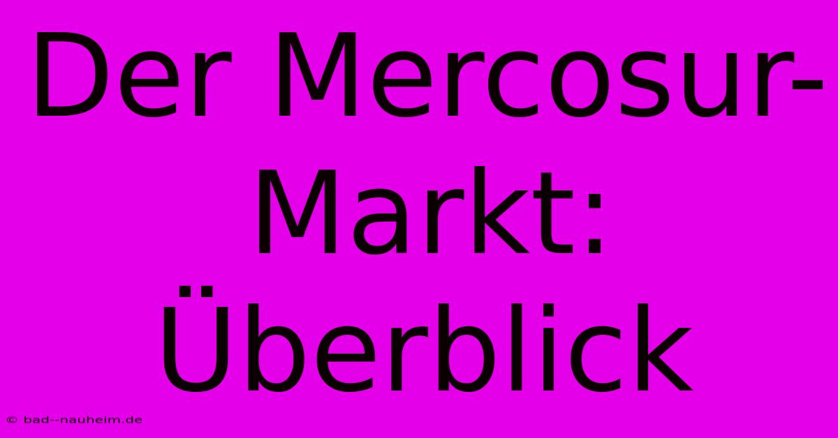 Der Mercosur-Markt: Überblick