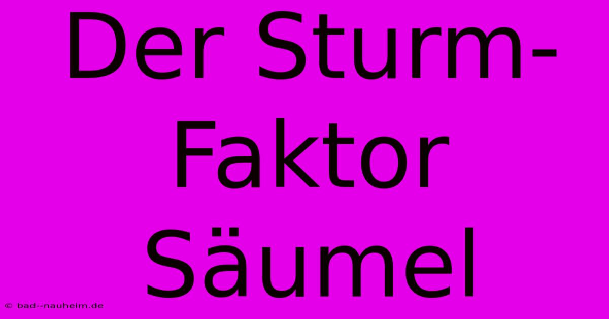 Der Sturm-Faktor Säumel