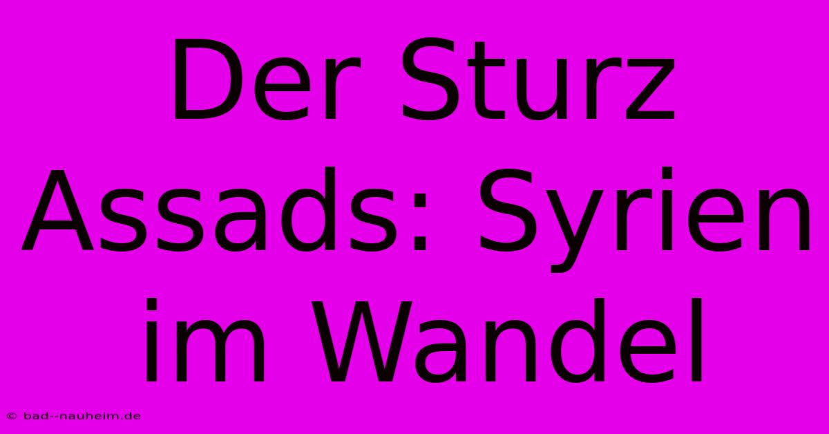 Der Sturz Assads: Syrien Im Wandel