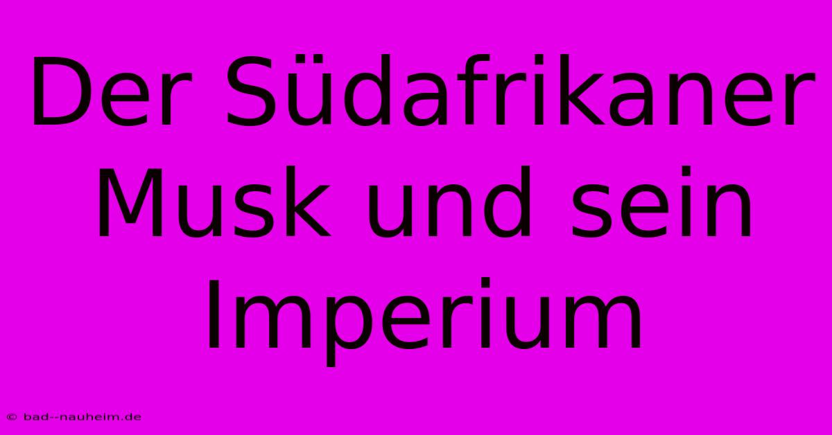 Der Südafrikaner Musk Und Sein Imperium