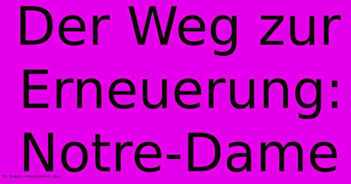 Der Weg Zur Erneuerung: Notre-Dame