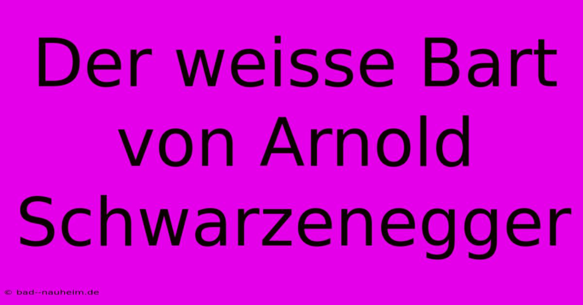 Der Weisse Bart Von Arnold Schwarzenegger