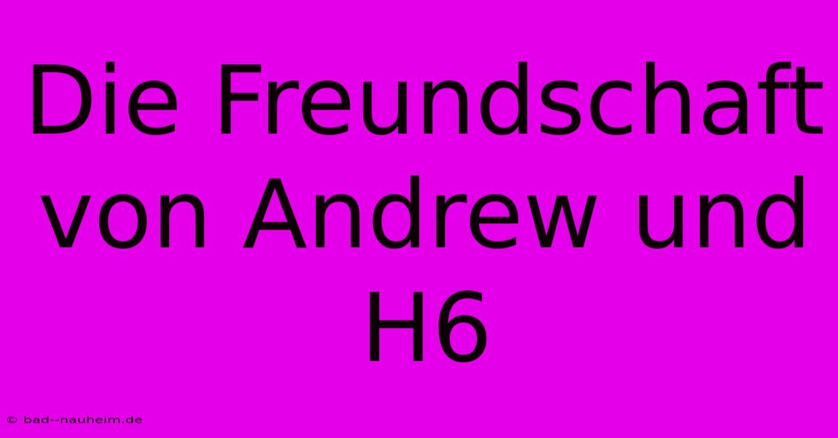 Die Freundschaft Von Andrew Und H6