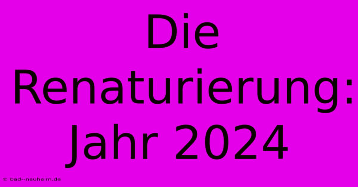 Die Renaturierung: Jahr 2024