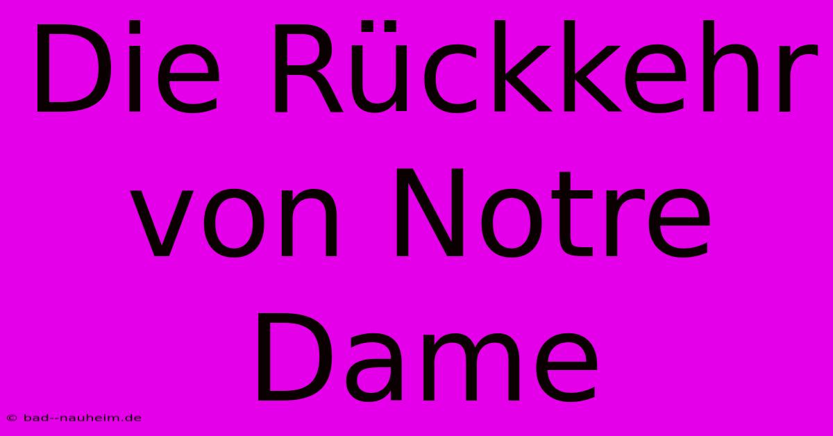 Die Rückkehr Von Notre Dame