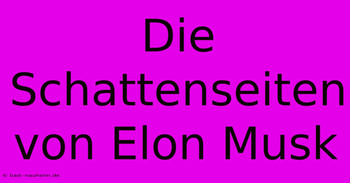 Die Schattenseiten Von Elon Musk