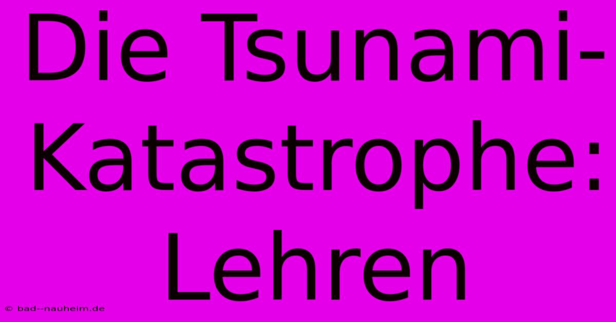 Die Tsunami-Katastrophe: Lehren