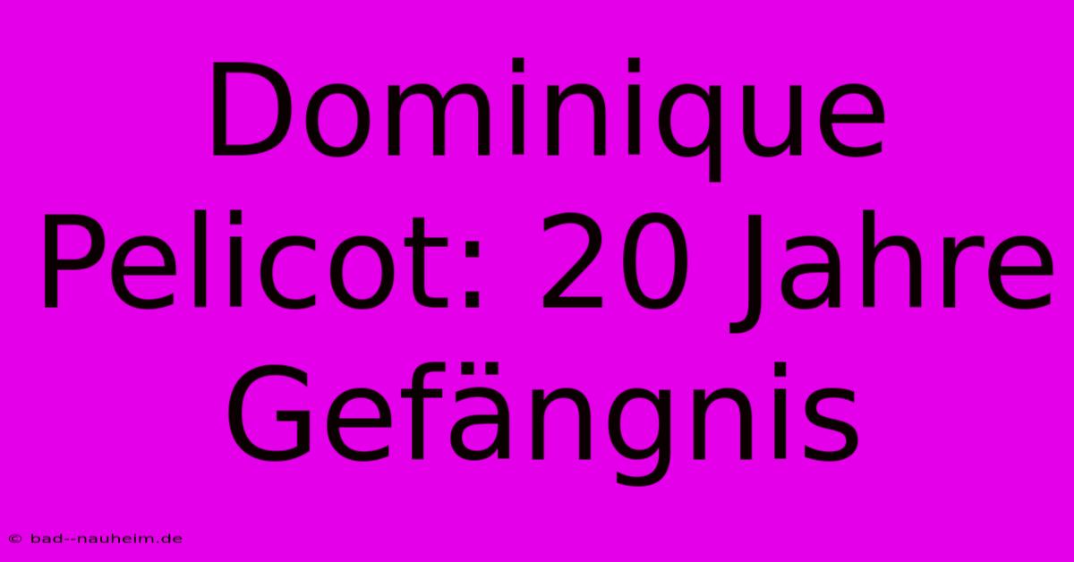 Dominique Pelicot: 20 Jahre Gefängnis