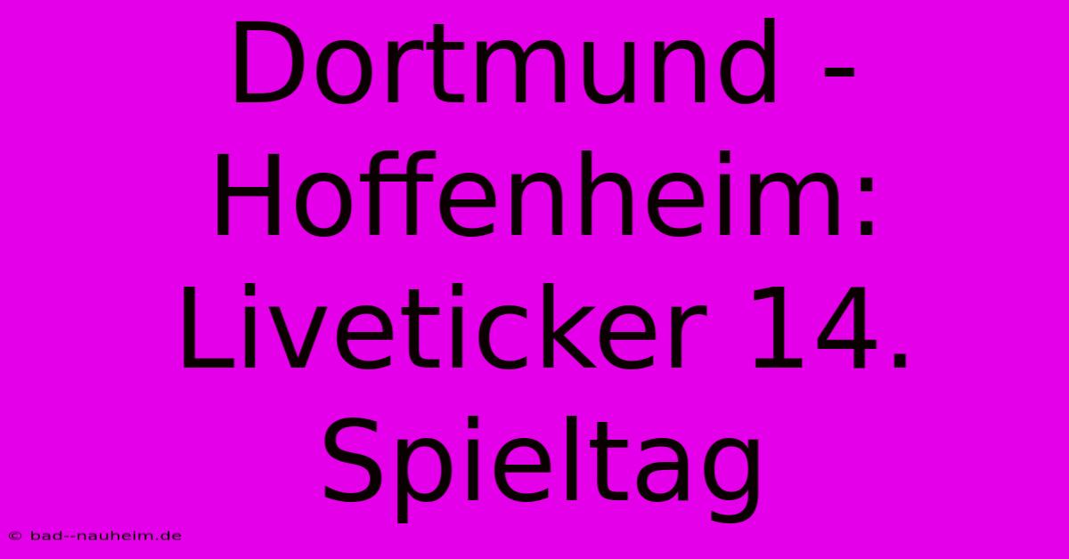 Dortmund - Hoffenheim: Liveticker 14. Spieltag