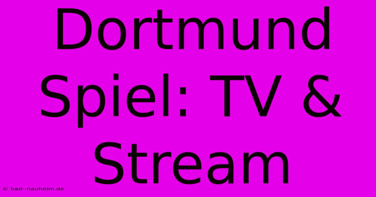 Dortmund Spiel: TV & Stream