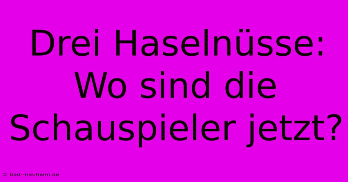 Drei Haselnüsse: Wo Sind Die Schauspieler Jetzt?