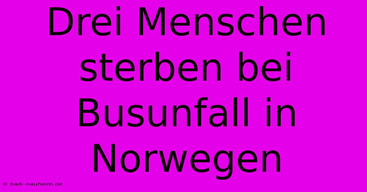 Drei Menschen Sterben Bei Busunfall In Norwegen