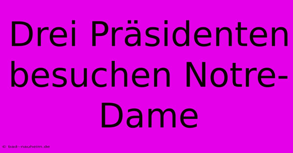 Drei Präsidenten Besuchen Notre-Dame