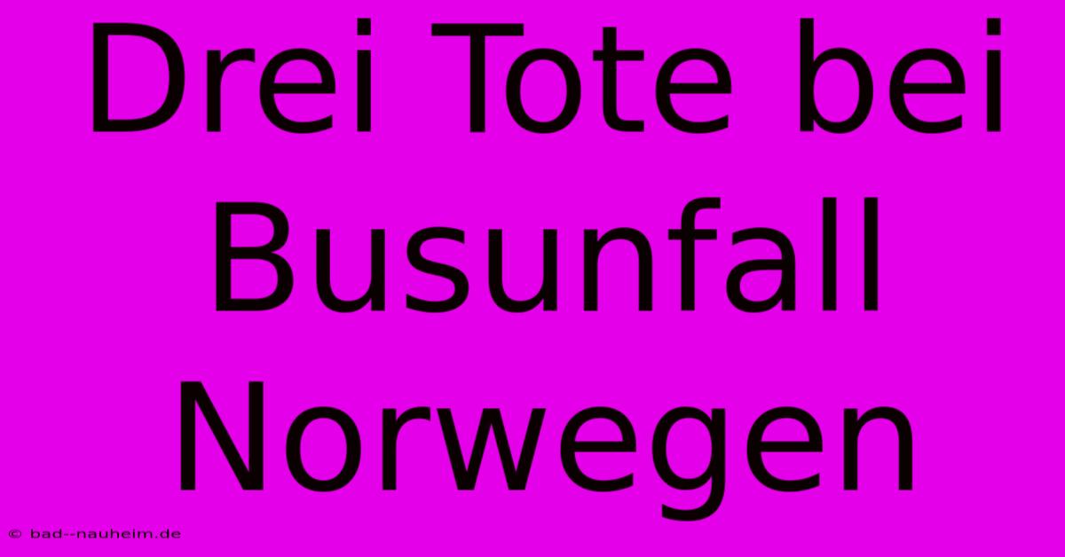 Drei Tote Bei Busunfall Norwegen