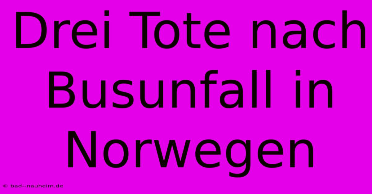 Drei Tote Nach Busunfall In Norwegen