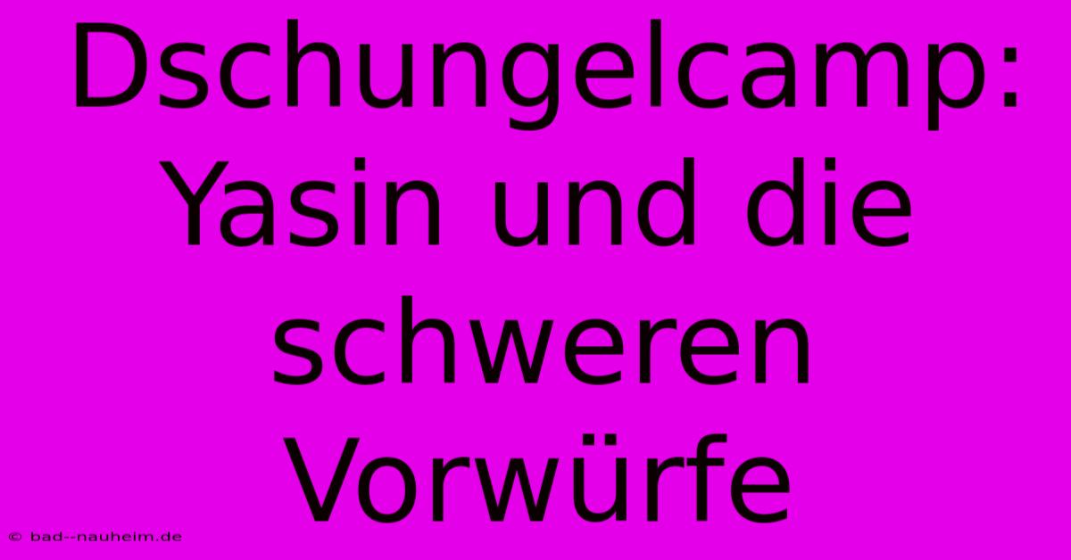 Dschungelcamp: Yasin Und Die Schweren Vorwürfe